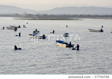 Scenery of shellfish fishing Scenery of shellfish fishing 37740766