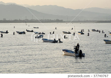 Scenery of shellfish fishing Scenery of shellfish fishing 37740767