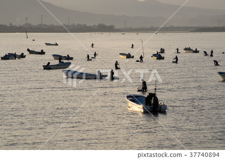 Scenery of shellfish fishing 37740894