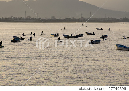 Scenery of shellfish fishing Scenery of shellfish fishing 37740896