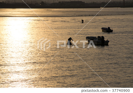 Scenery of the shellfish collection fishing of twilight Scenery of the shellfish collection fishing of twilight 37740900