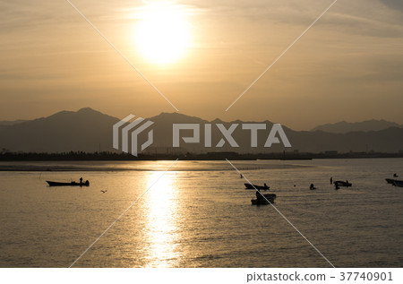 Scenery of the shellfish collection fishing of twilight Scenery of the shellfish collection fishing of twilight 37740901