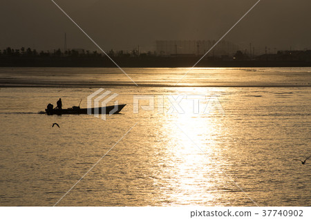 Scenery of the shellfish collection fishing of twilight Scenery of the shellfish collection fishing of twilight 37740902