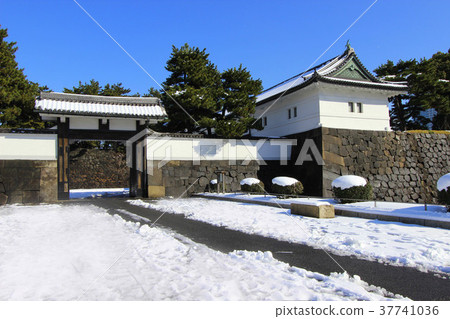 雪Sakuradamon 37741036