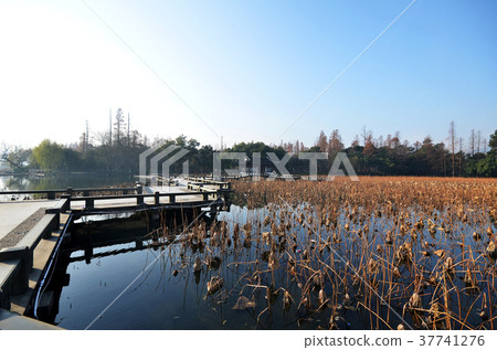 Winter on West Lake, Hangzhou. 37741276
