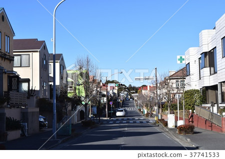 Residential area of green garden city in winter day 37741533