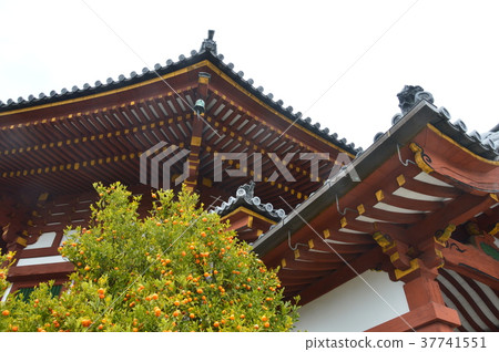 興福寺的“Minami Kando”(奈良縣奈良市奈良縣) 興福寺的“Minami Kando”(奈良縣奈良市奈良縣) 37741551