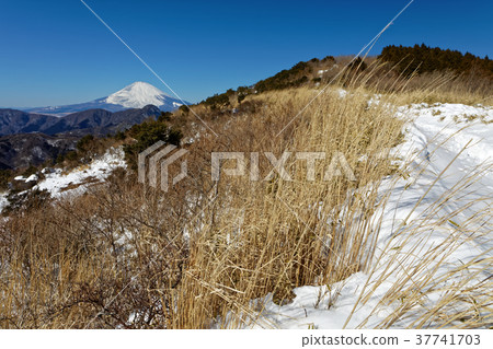 從箱根和Meijingatake Pass雪線看到的富士山 37741703