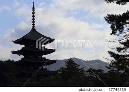Kofuku-ji's five-storied pagoda　 37742289