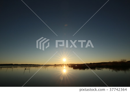 Morning of Seiryuma Morning of Seiryuma 37742364