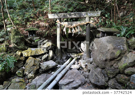 Amano-iwato 37742524