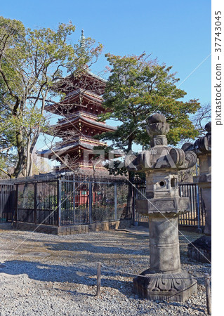 Ueno Toshogu Shrine Ueno Toshogu Shrine 37743045