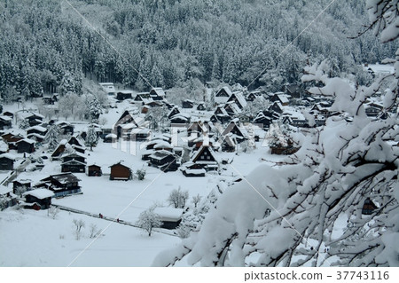 雪的白川鄉鎮 37743116