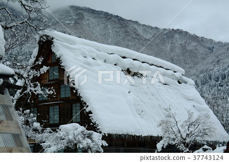 雪的白川鄉鎮 37743124