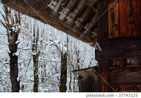 雪的白川鄉鎮 37743125