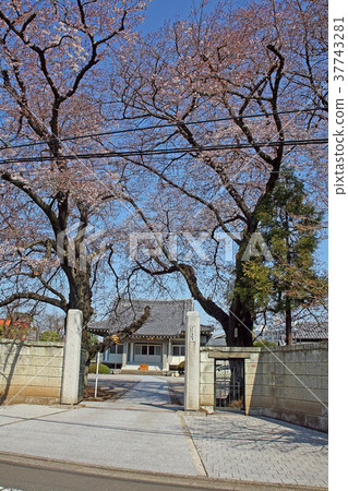 善福寺 37743281