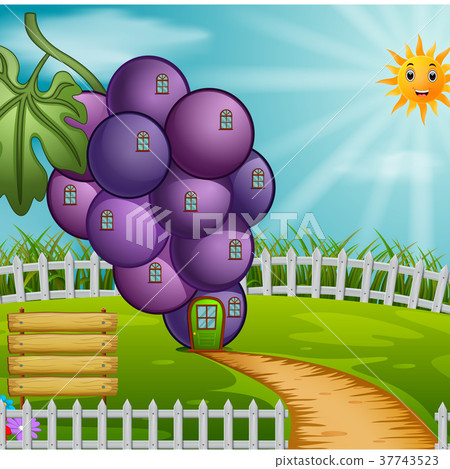 Grape house in garden 37743523