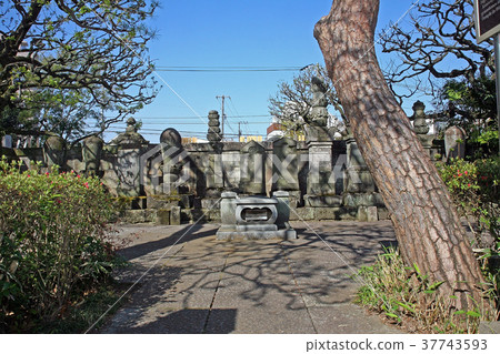 坎森寺 37743593