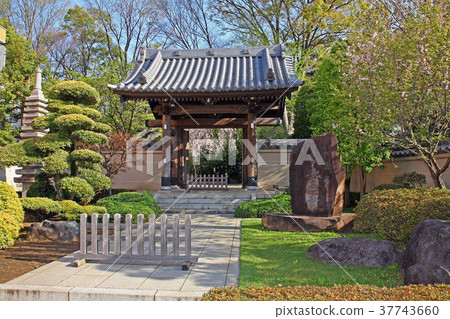 Myth temple 37743660