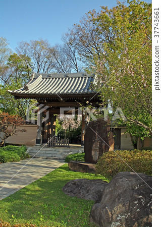 Myth temple 37743661