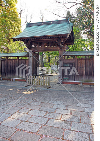 Myth temple 37743667
