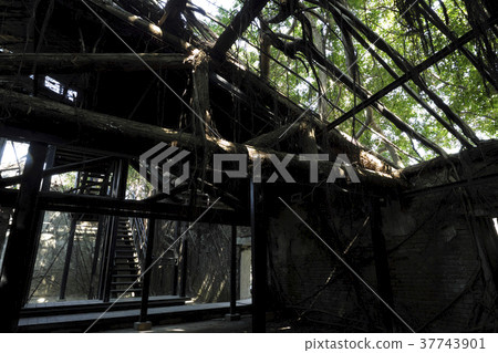 Anping tree store 37743901