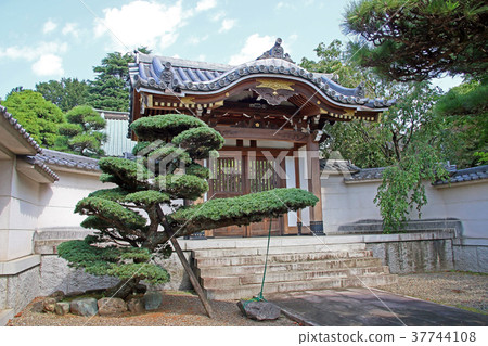 Zen House 37744108