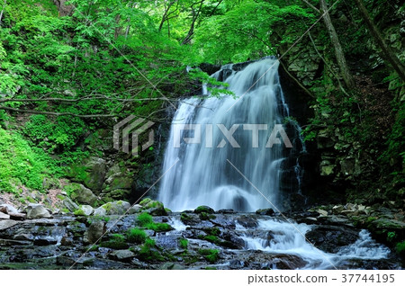 Asama Falls 37744195