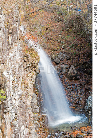 Nijimi Falls（栃木縣Ryuokyo） 37744691