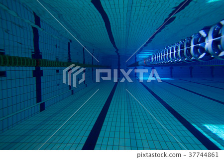 The pool 37744861
