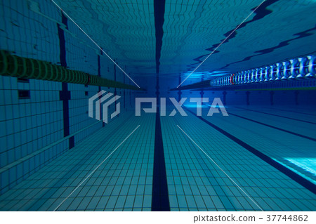 The pool 37744862