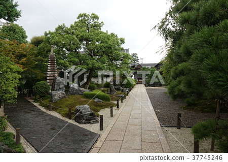 Sofukuji Temple Gifu Sofukuji Temple Gifu 37745246