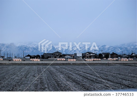 Saga Plain in winter 37746533