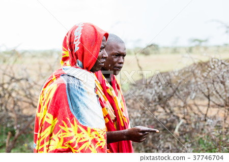 Two Massai men walking together Two Massai men walking together 37746704