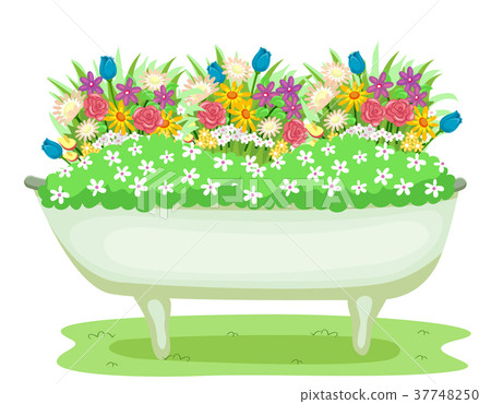 Bath Tub Flowers Illustration Bath Tub Flowers Illustration 37748250
