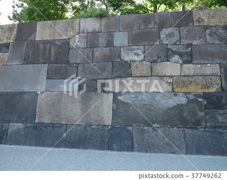 故宮本丸追踪 故宮本丸追踪 37749262