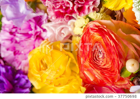 快樂的花牆 37750698