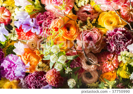 母親節 母親節 37750990