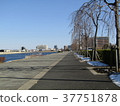 隅田川 37751878