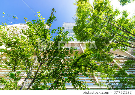 High-rise building in the office area and green High-rise building in the office area and green 37752182