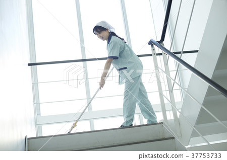 Cleaning staff 37753733
