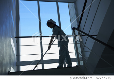 Cleaning staff 37753740