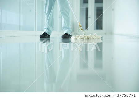 Cleaning staff 37753771