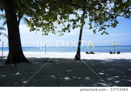 Beach in the Philippines Panglao 37753969