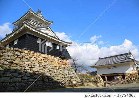 Shizuoka Hamamatsu Castle 37754065