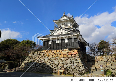 Shizuoka Hamamatsu Castle 37754066