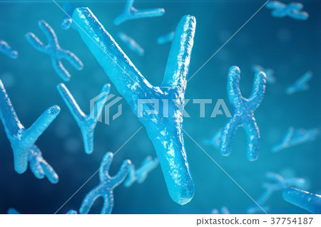 3D illustration XY-chromosomes as a concept for 37754187