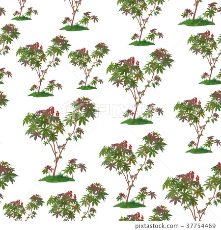 Castor Plant Seamless 37754469