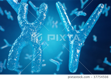 3D illustration XY-chromosomes as a concept for 3D illustration XY-chromosomes as a concept for 37754508