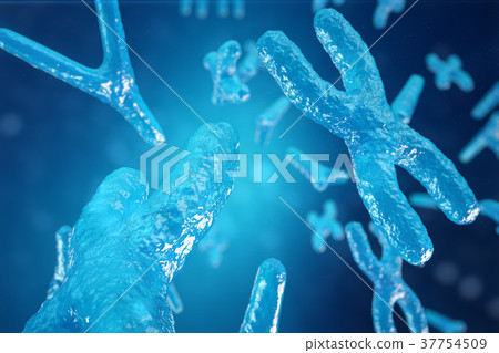 3D illustration XY-chromosomes as a concept for 3D illustration XY-chromosomes as a concept for 37754509